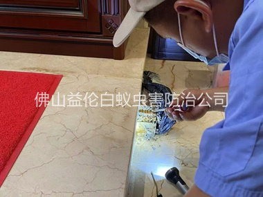 禅城安装诱杀箱监测白蚁工程